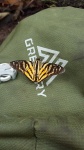 Croniades
