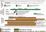 Xenophanes