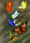 Lithodryas