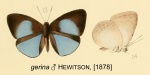 Geritola
