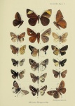 Melphina
