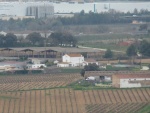 Sinia