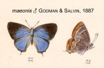 Apuecla