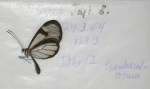 Pseudoscada