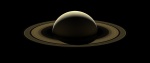 Zeuxidia