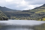 Paramo