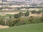 Suasa