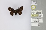 Eracon