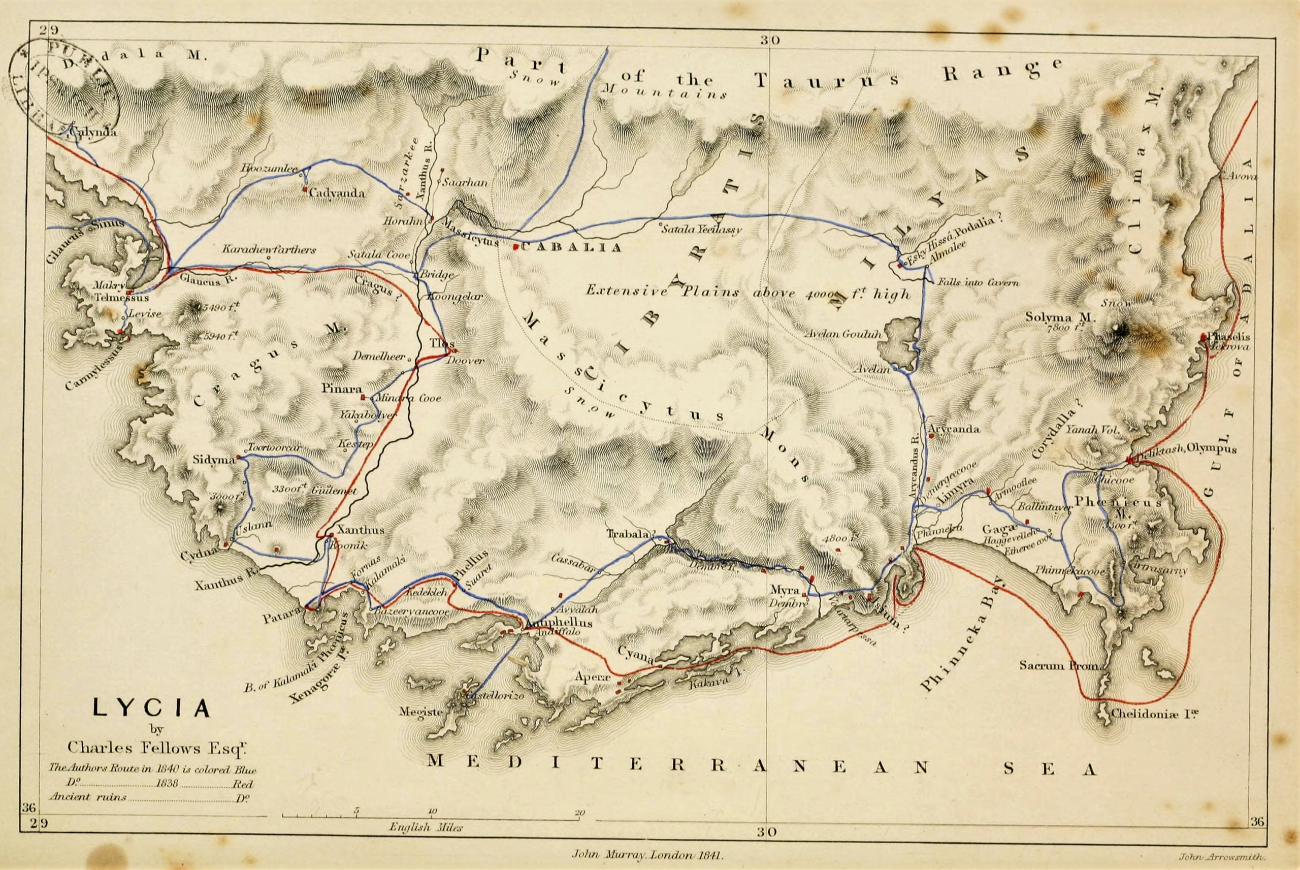 Lycia (Род)