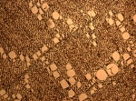 Periploca