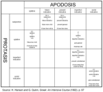 Protasis