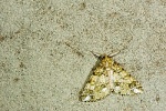 Arichanna