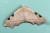Hypochrosis rufescens