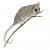 Cercartetus lepidus