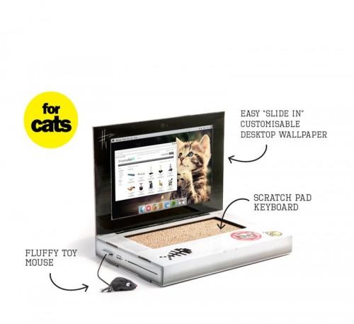 Cattop-1