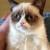Grumpy Cat появится в музее мадам Тюссо