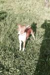 IMG-20150509-WA0028