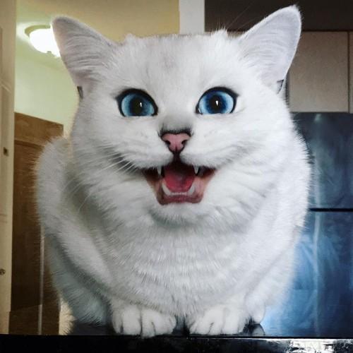 9_12