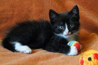 untitled_09480