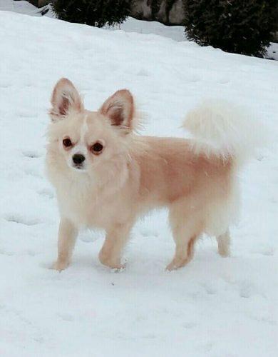 photo_2017-02-13_17-08-17
