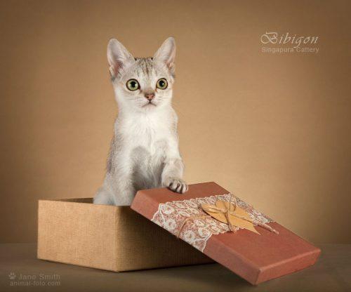 La-La-Lassie 05 (2652)