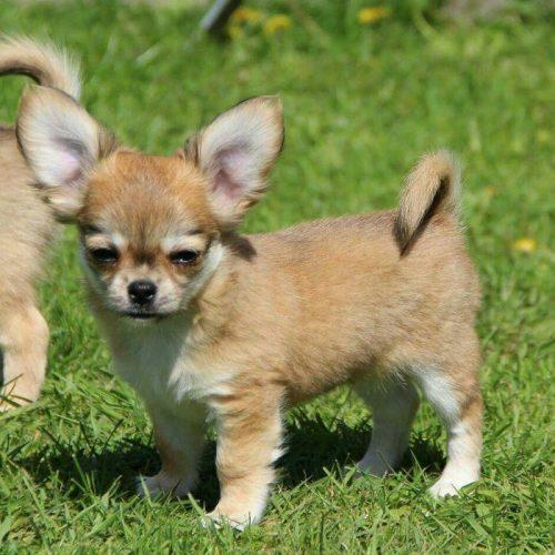 photo_2017-05-31_20-47-54