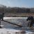 Белорусские милиционеры сняли на видео спасение лося, провалившегося под лед