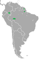 Tapirus kabomani