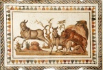 Equus africanus atlanticus