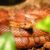 Кукурузная змея