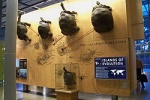 Черепаха Галапагосская Эспаньола