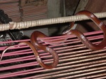 Rhinocheilus
