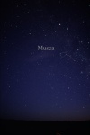 Mus