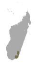 Lepilemur fleuretae