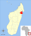 Lepilemur hollandorum
