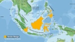 Tarsius lariang