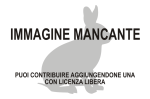 Sylvilagus varynaensis