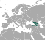 Бурозубка Радде