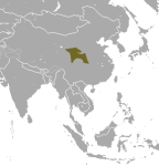 Западнокитайский крот