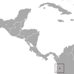 Aotus jorgehernandezi