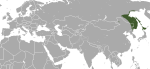 Тонконосая бурозубка