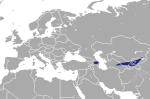 Сарезская белозубка