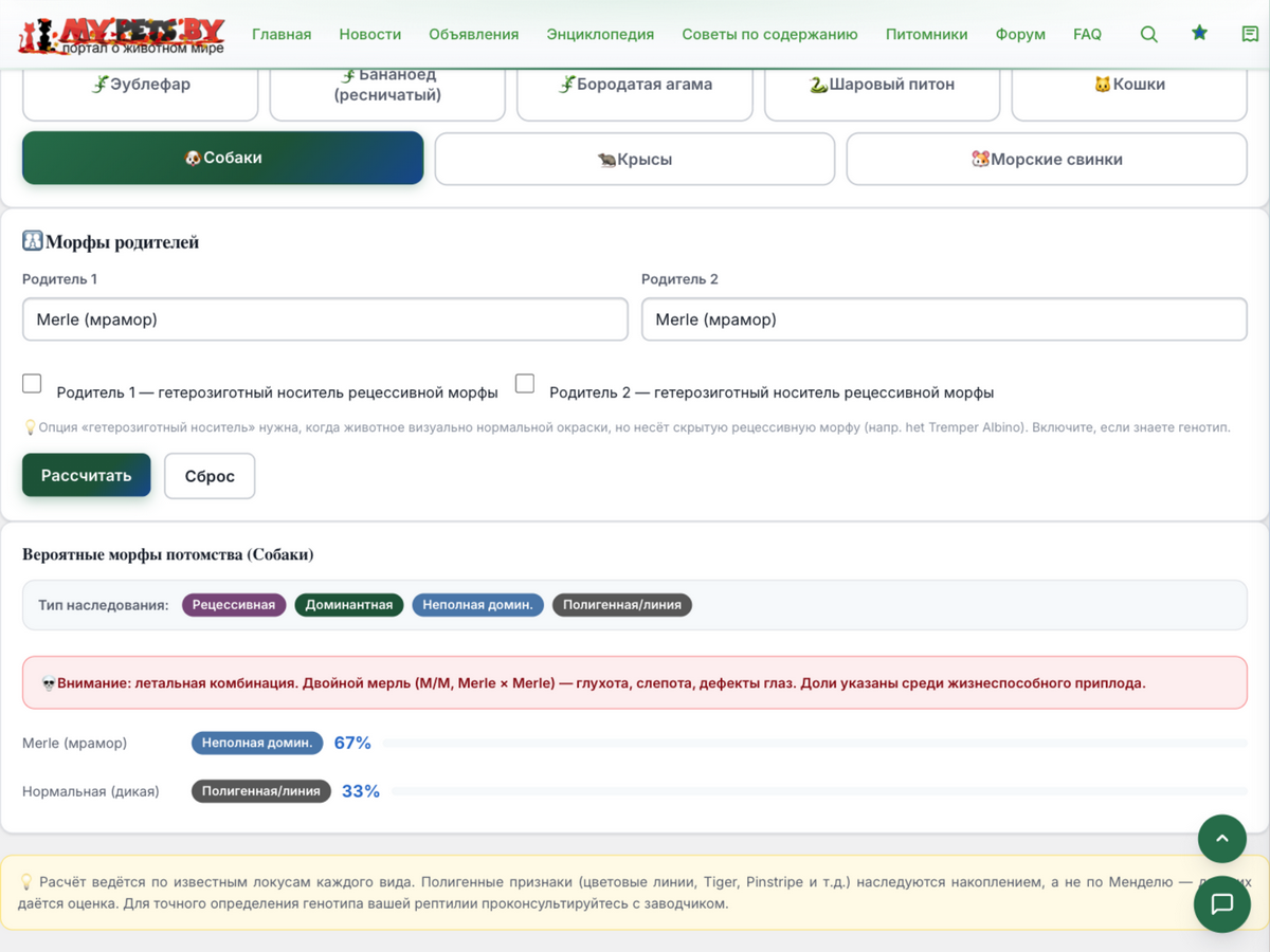 Предупреждение о летальной комбинации: Merle × Merle